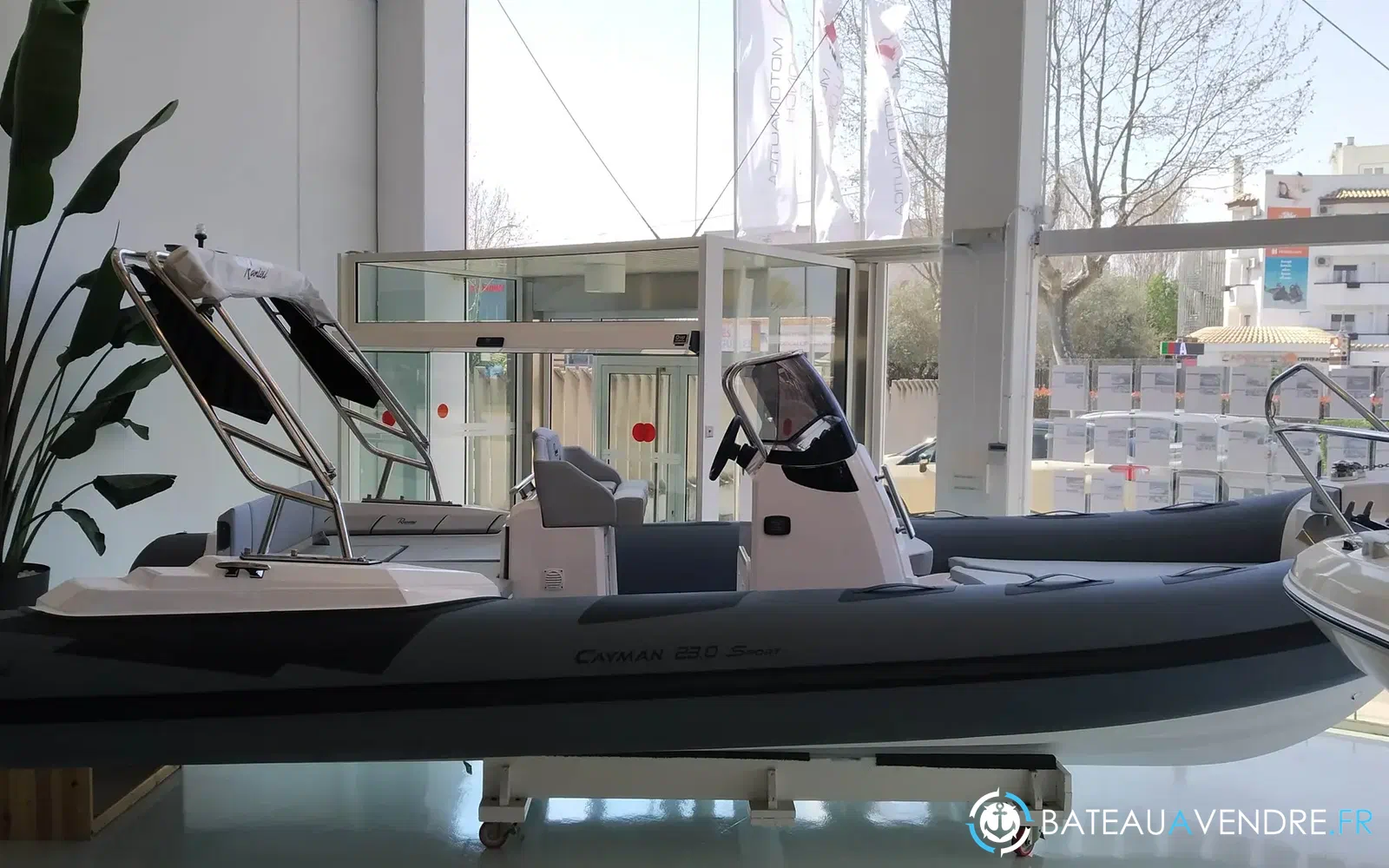slider 1 Ranieri Cayman 23 Sport