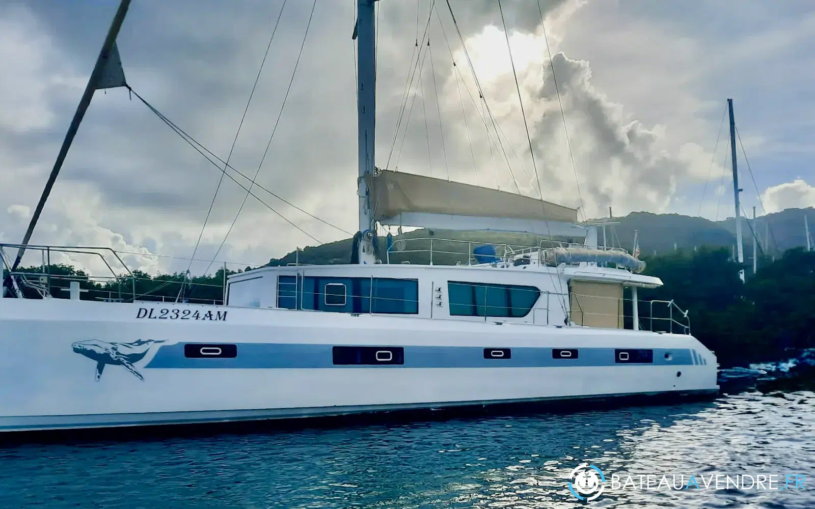 slider 0 Squalt Marine International CK64