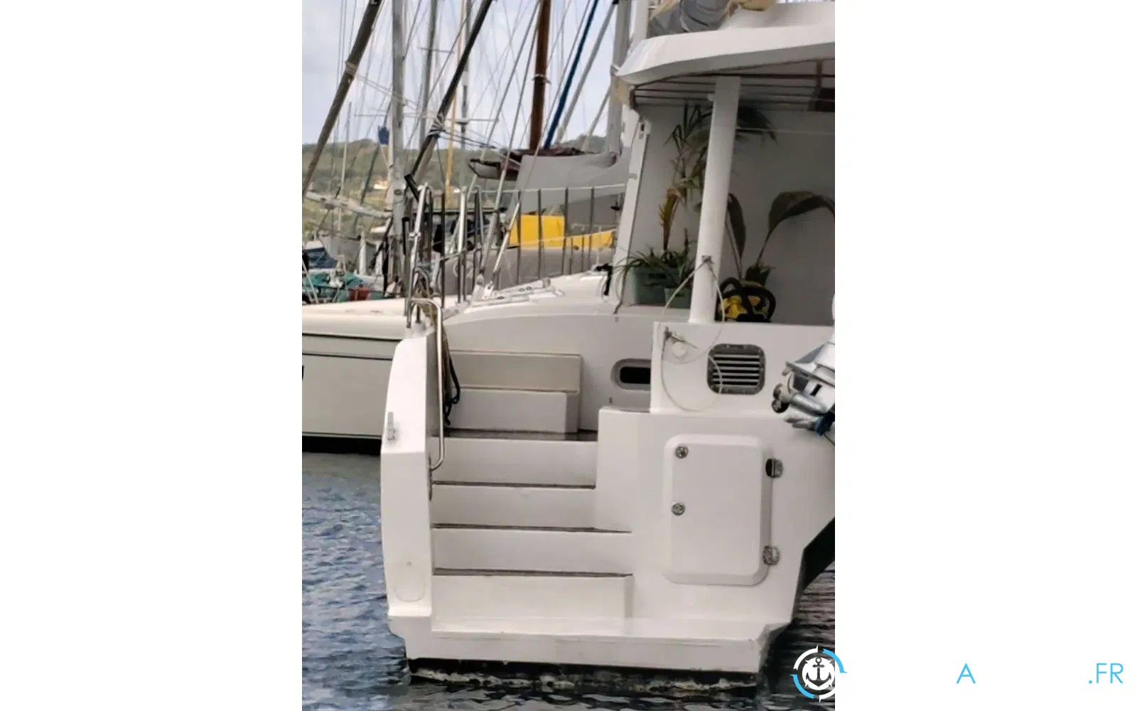 slider 10 Squalt Marine International CK64