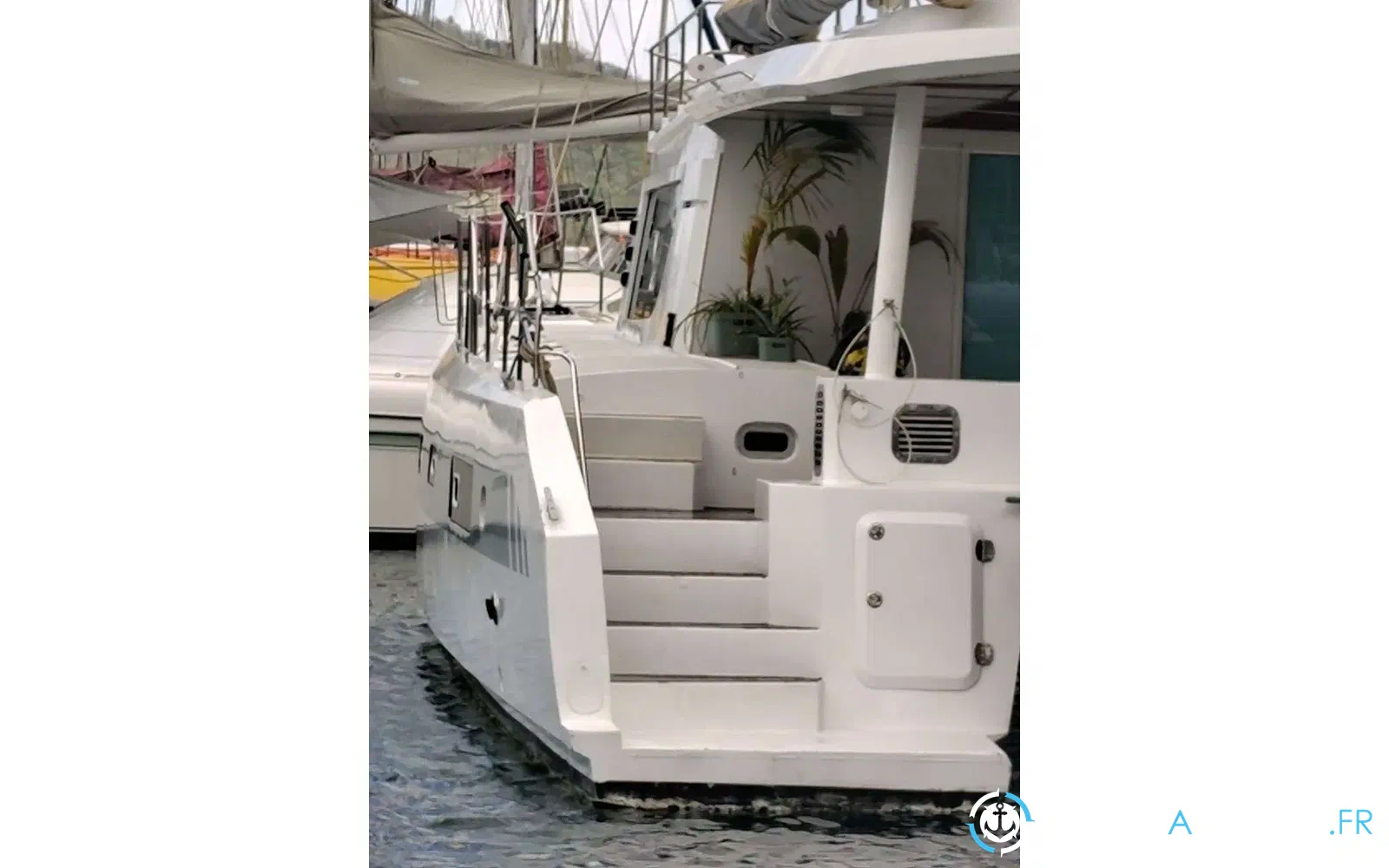 slider 4 Squalt Marine International CK64