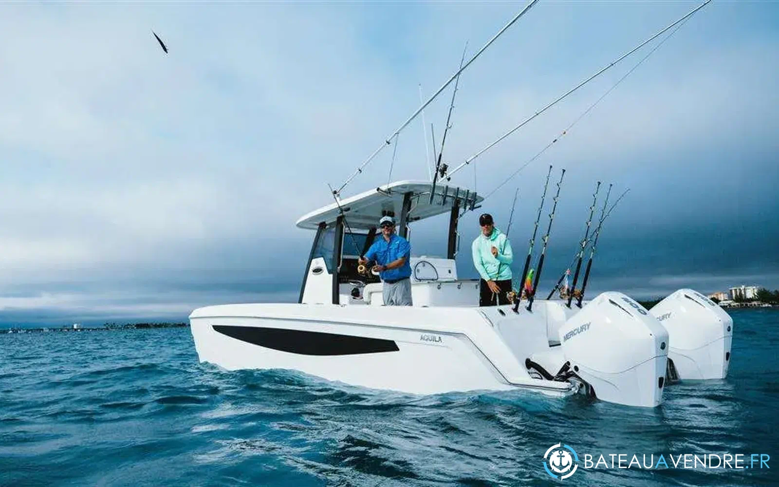 slider 14 Aquila 28 Molokai