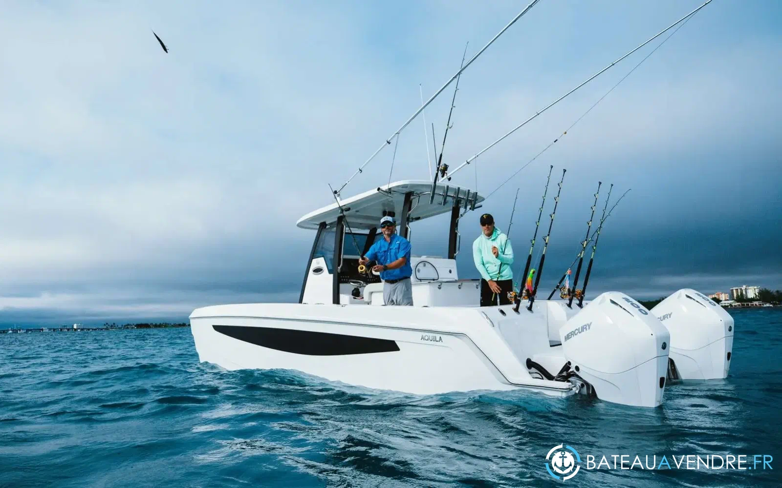 slider 2 Aquila 28 Molokai
