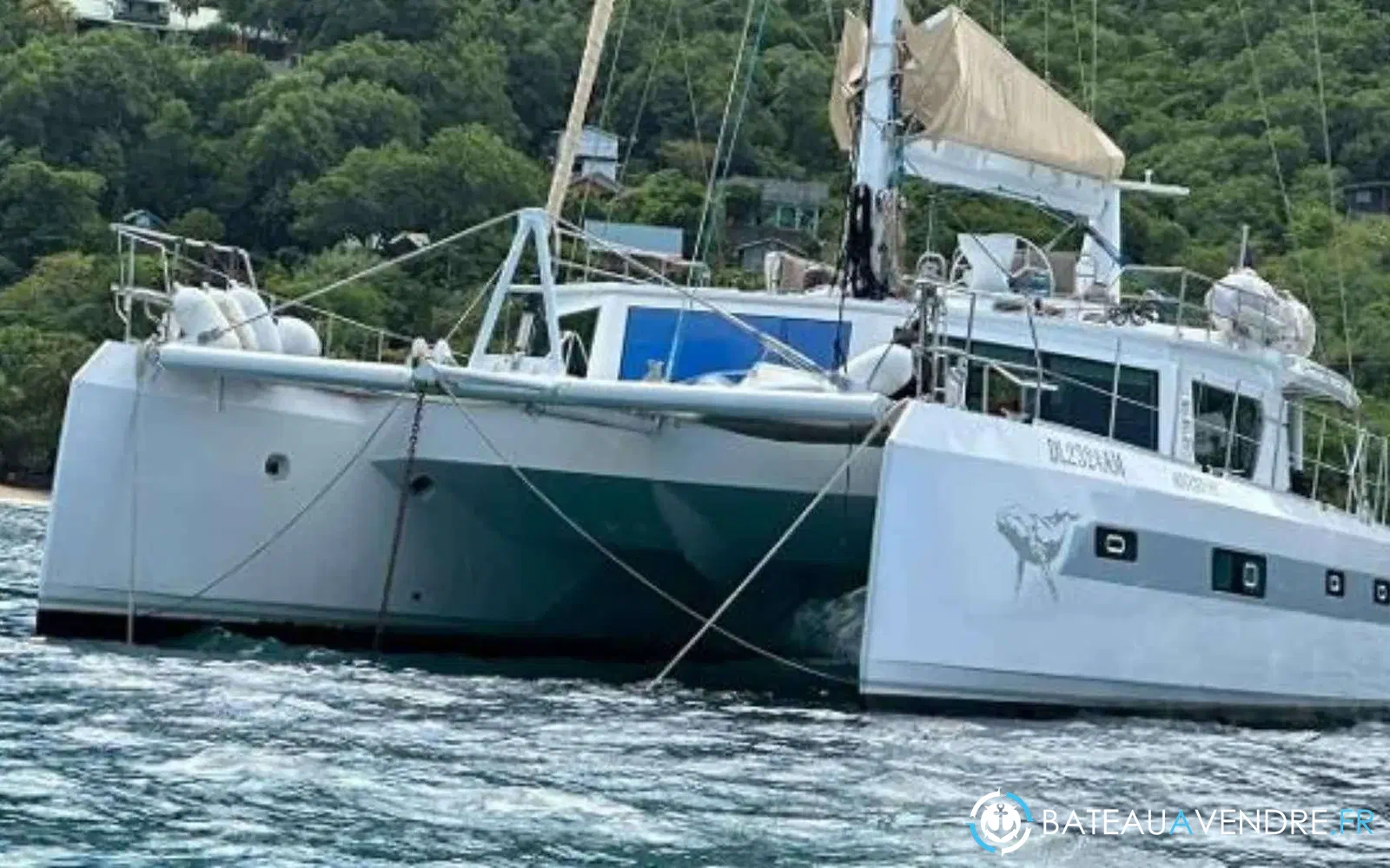 slider 6 Squalt Marine International CK64