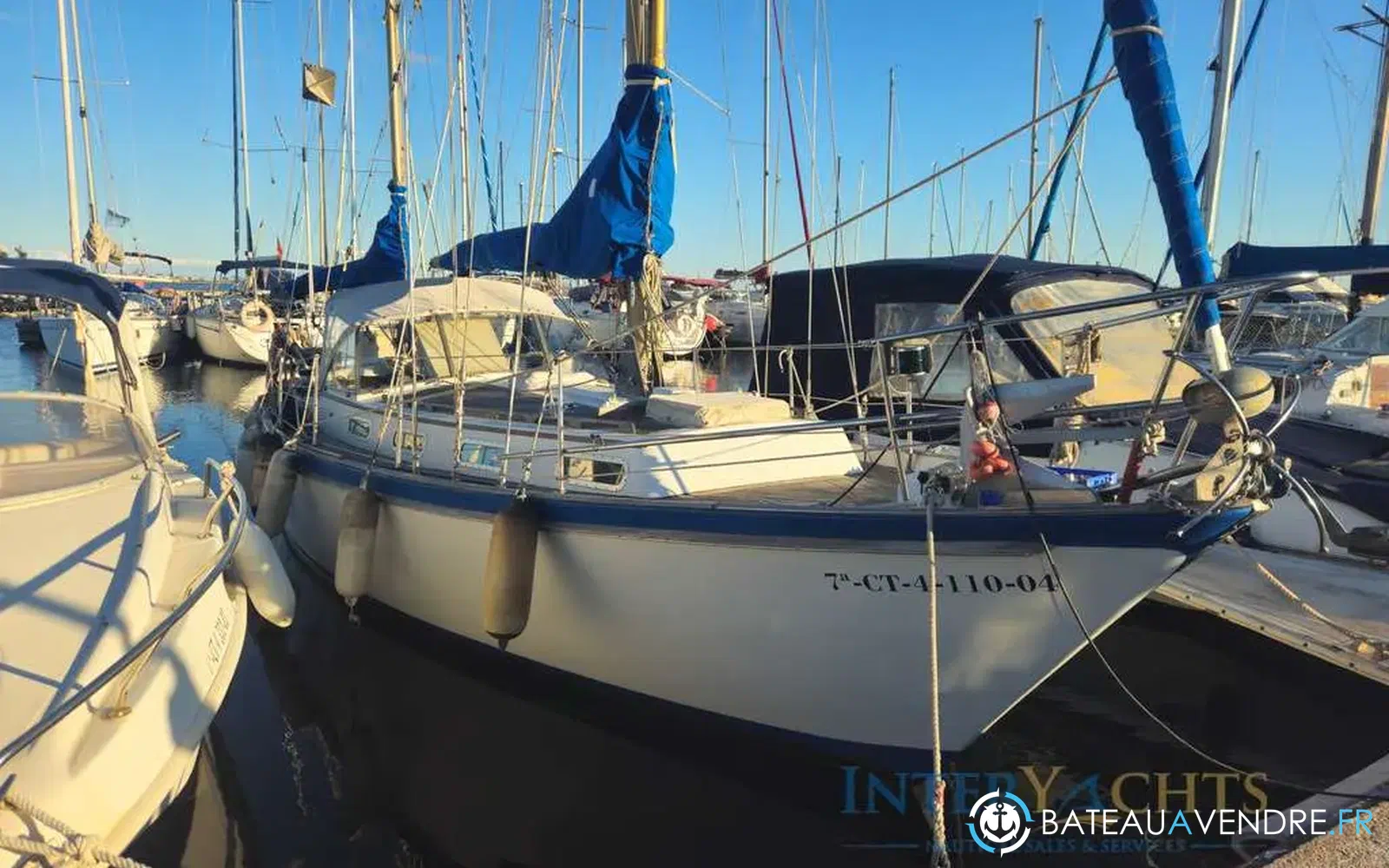 slider 15 Trintella III