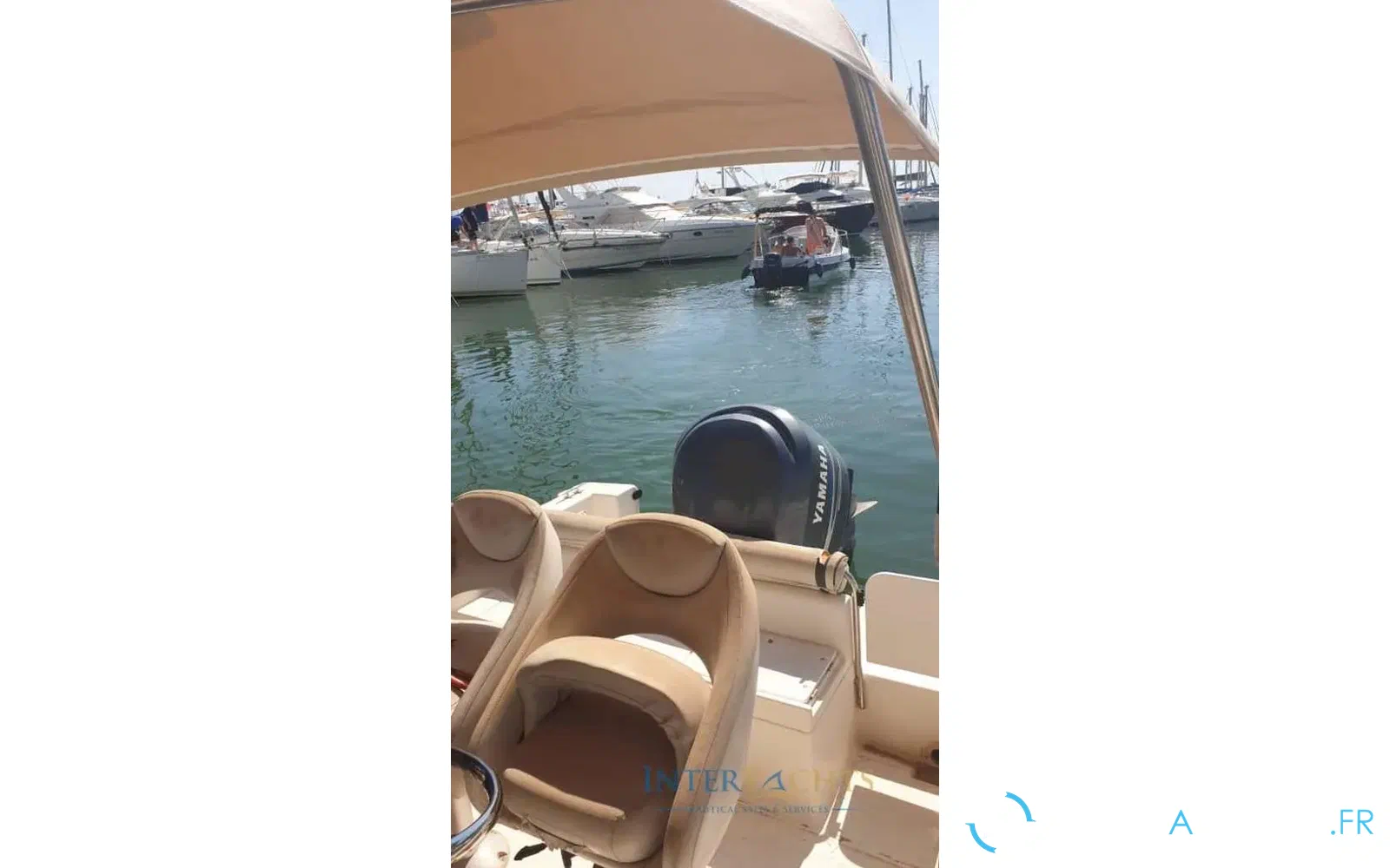 slider 1 Kelt White Shark 225