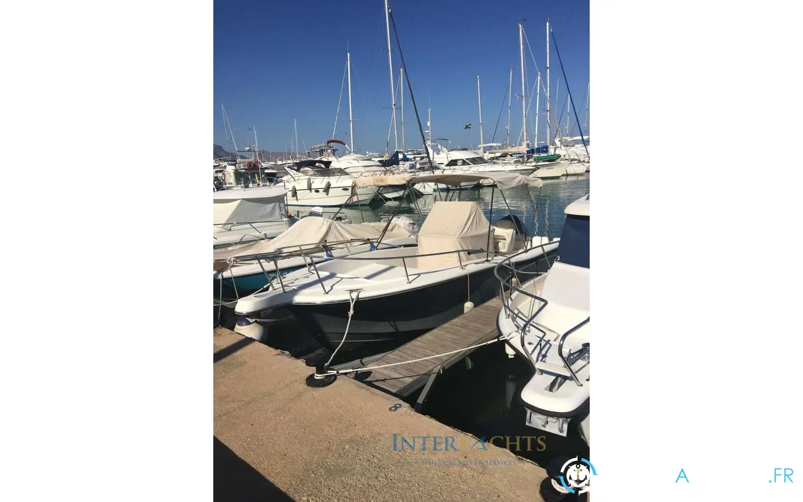 slider 2 Kelt White Shark 225