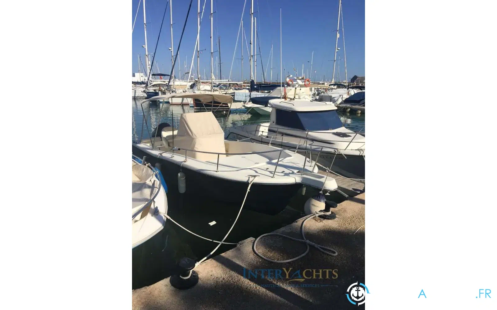 slider 3 Kelt White Shark 225