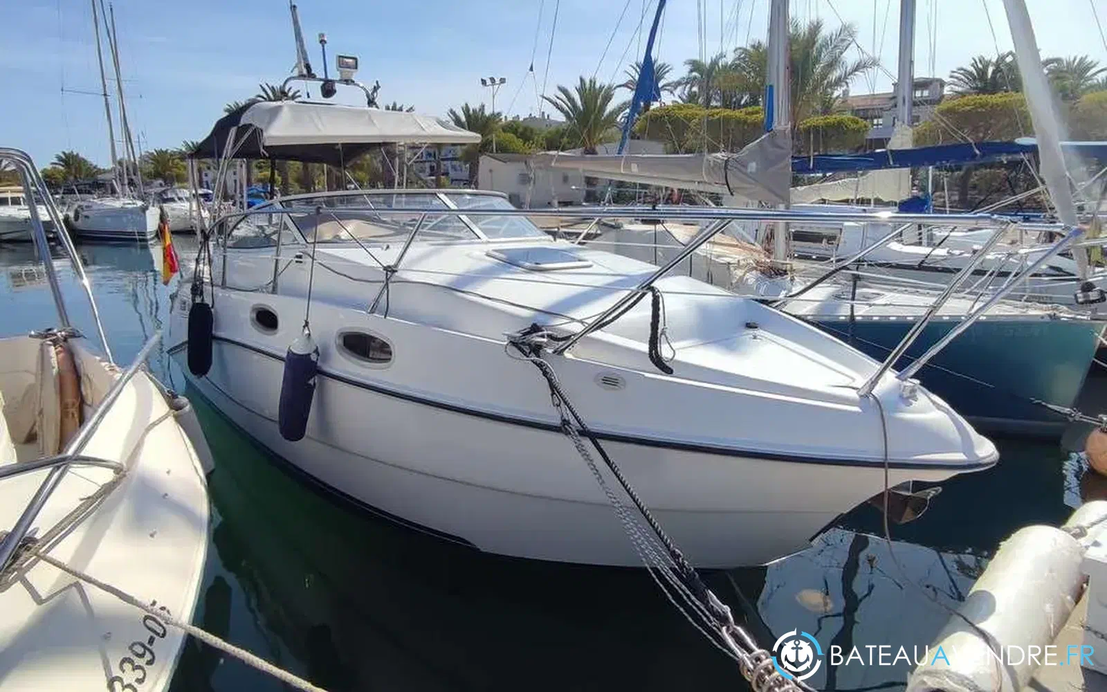 slider 1 Sealine S 23