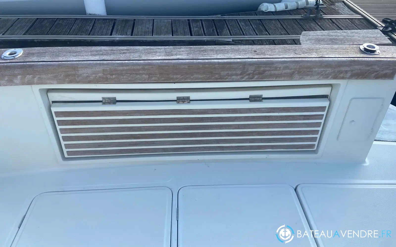 slider 14 Starfisher 1100