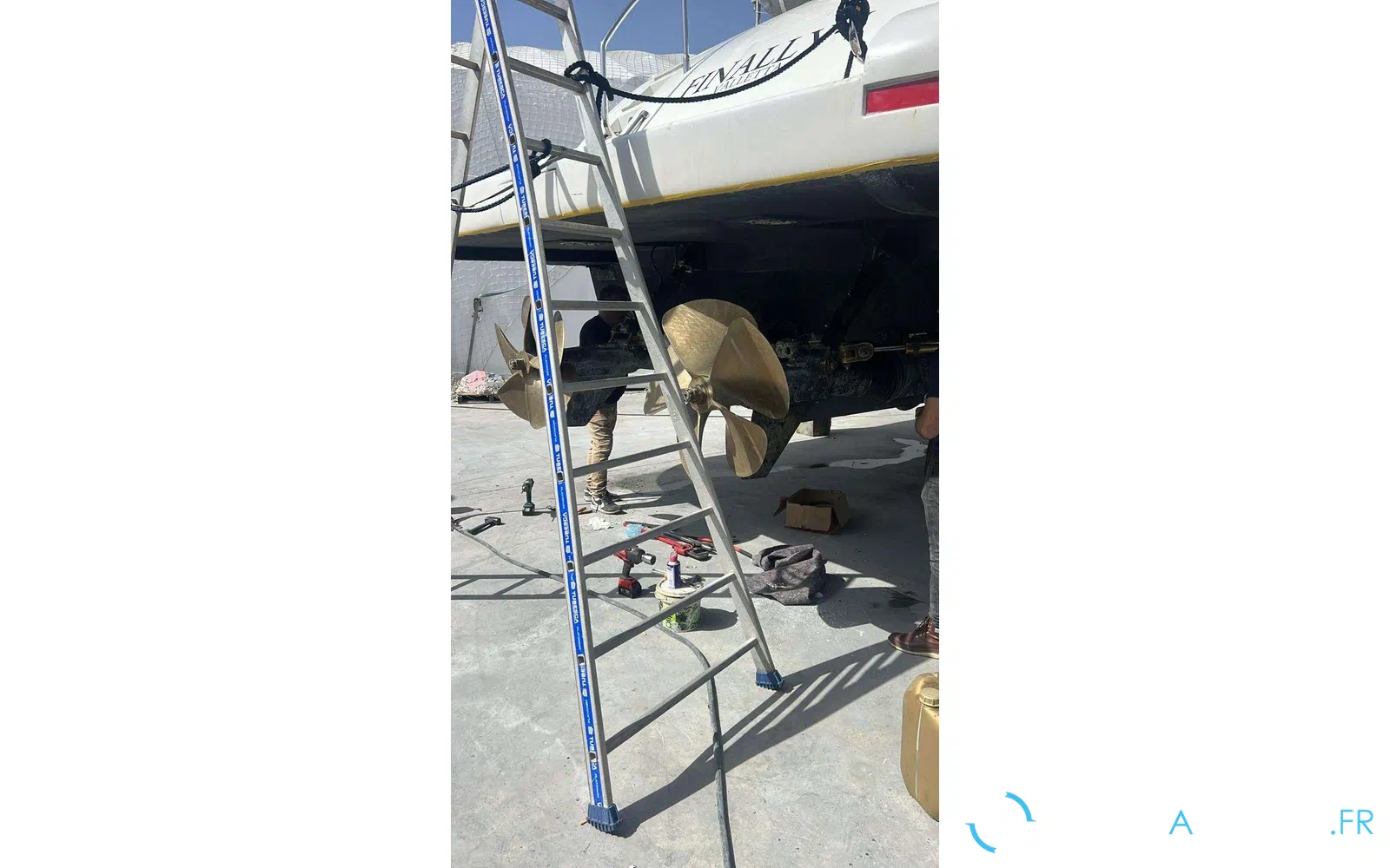 slider 31 Mangusta 72