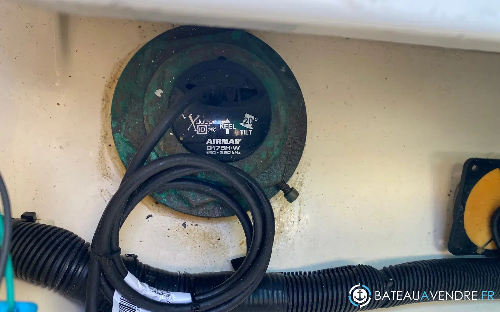 slider 32 Scout Boat 350 LXF