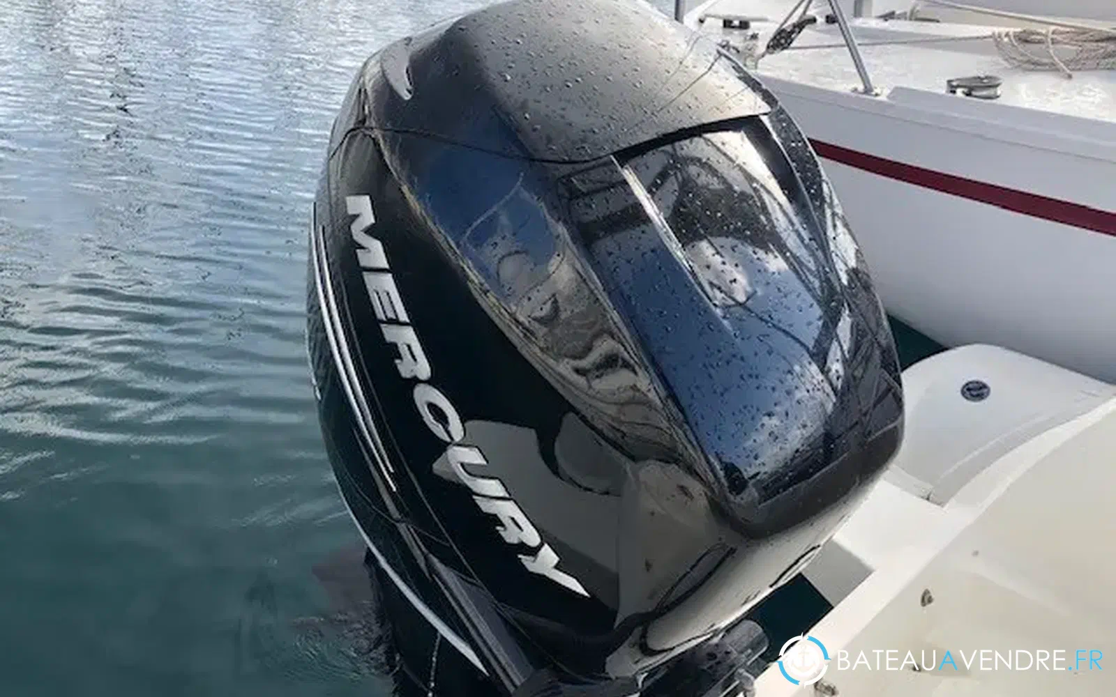 slider 14 Black Fin Elegance 8
