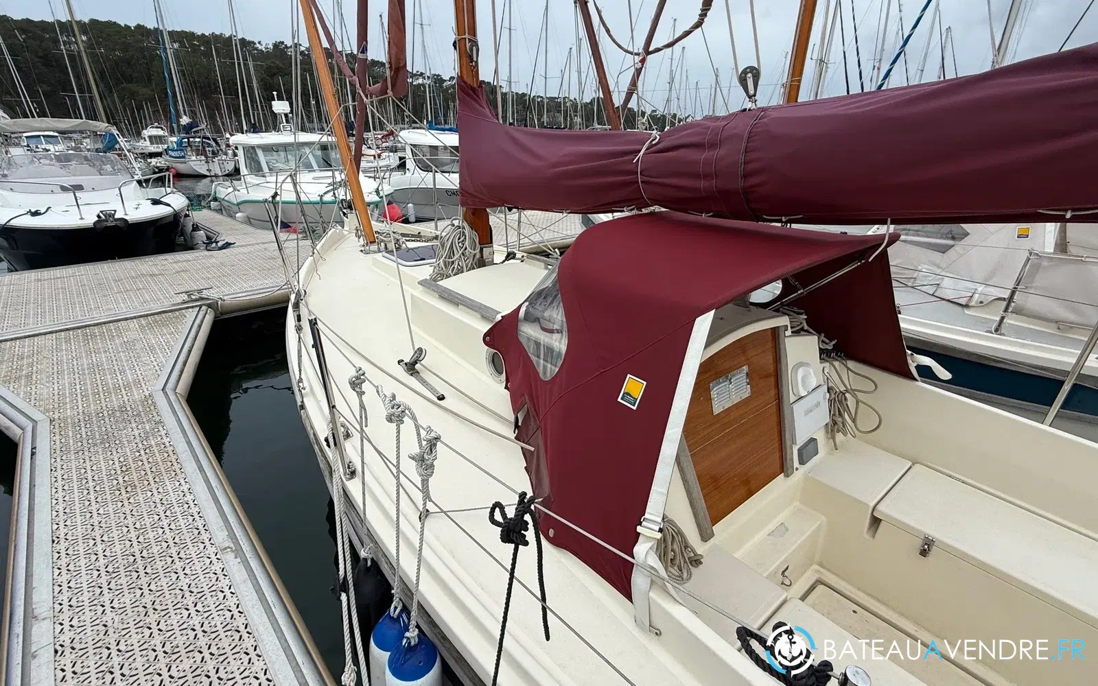slider 3 Cornish Crabber 22