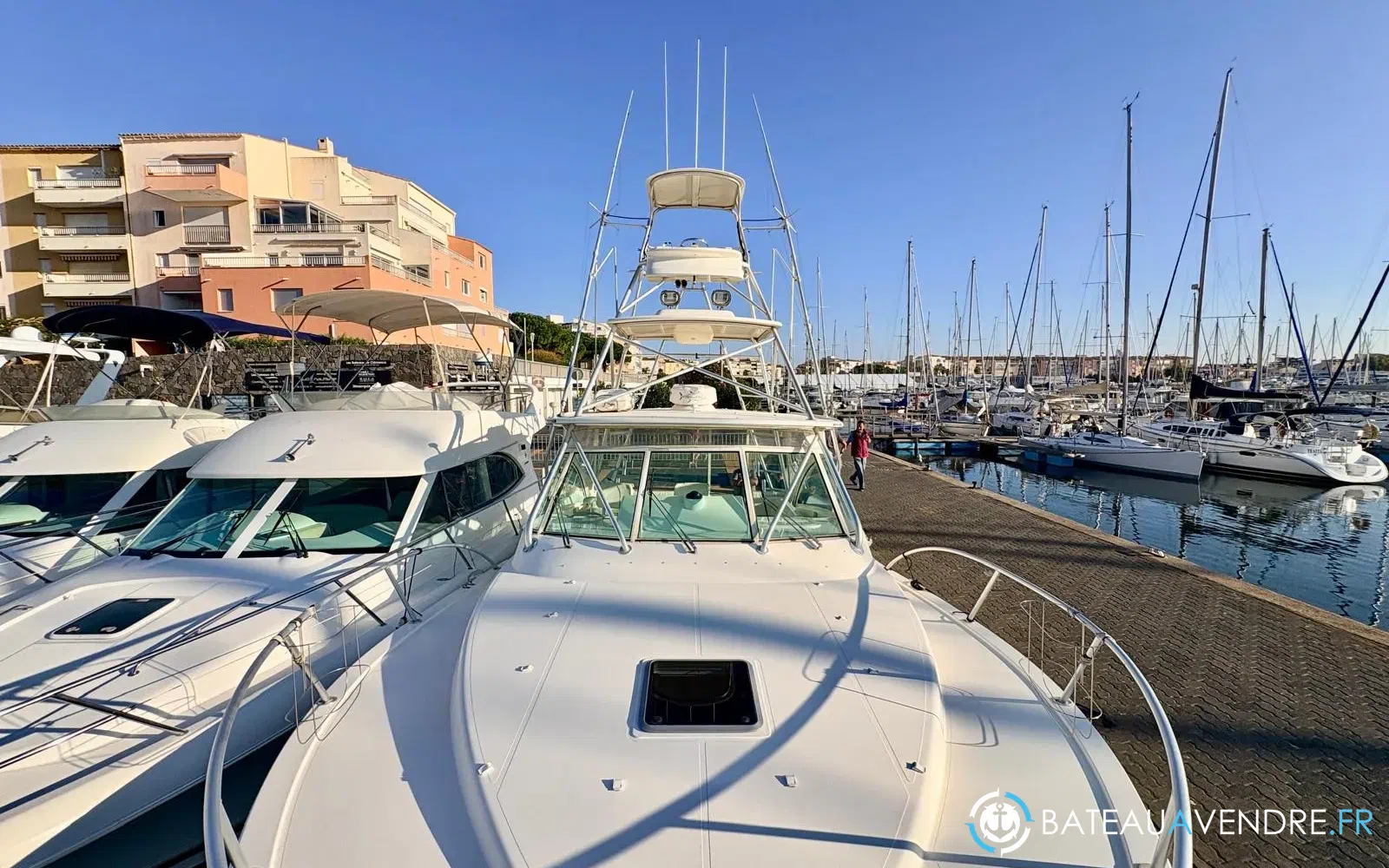 slider 14 Albemarle Marine Albemarle 360 Express