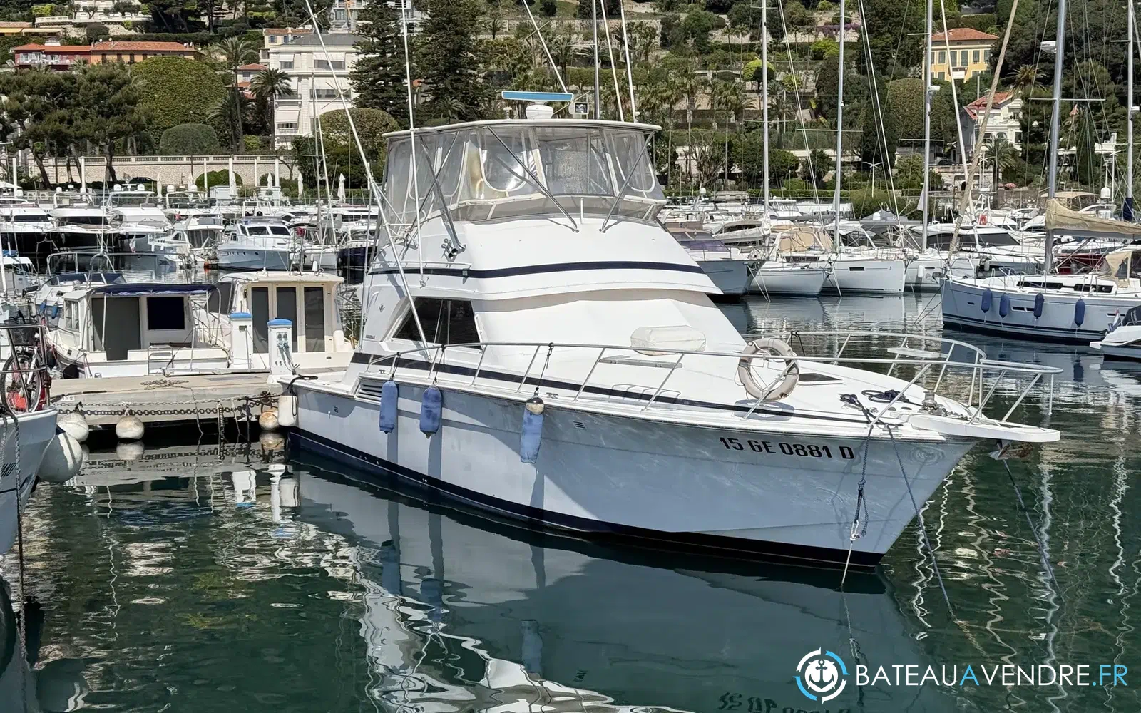 slider 32 Bertram 46 Convertible
