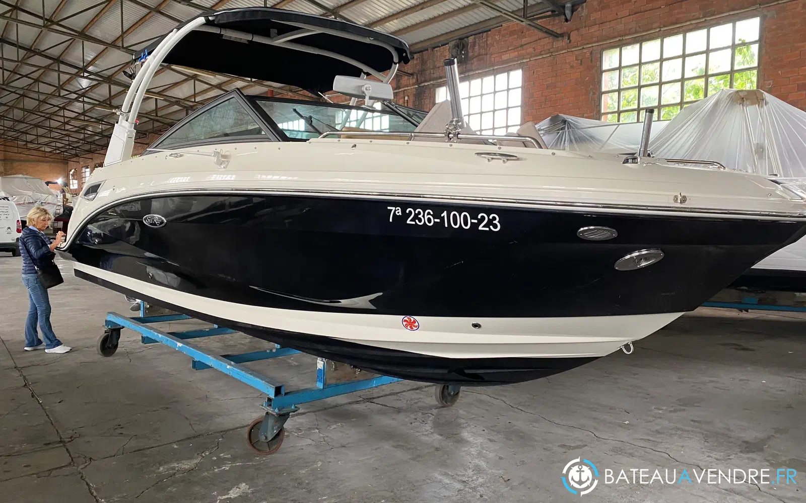 slider 0 Sea Ray 250 SDXE