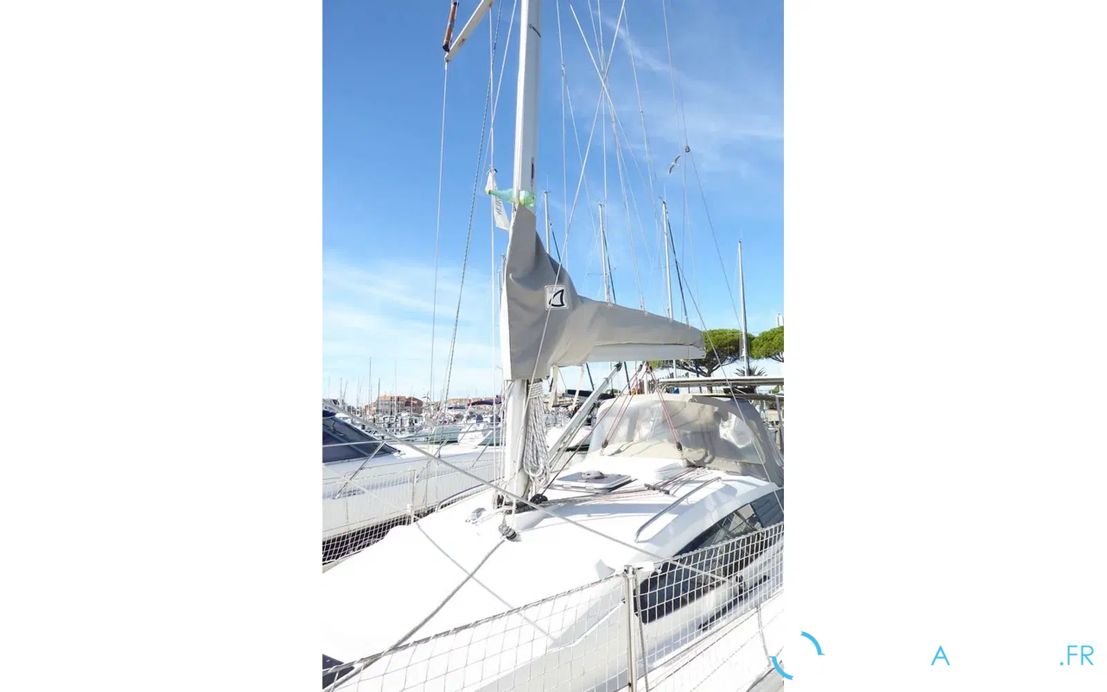 slider 1 Delphia 34