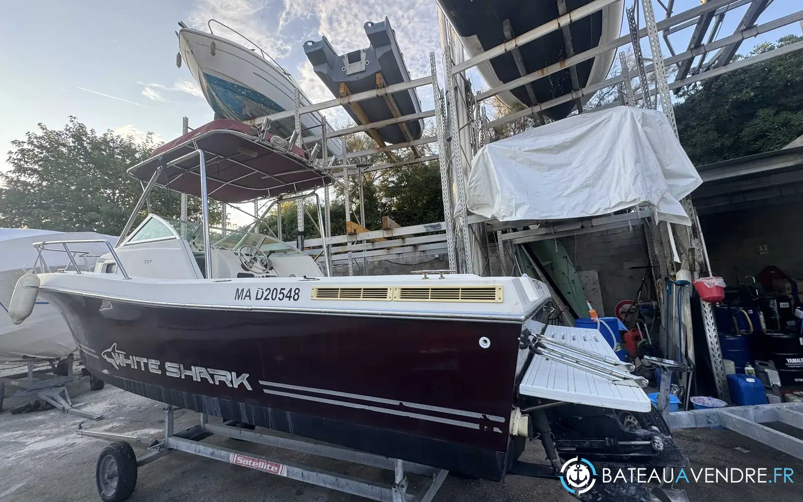 slider 0 Kelt White Shark 237