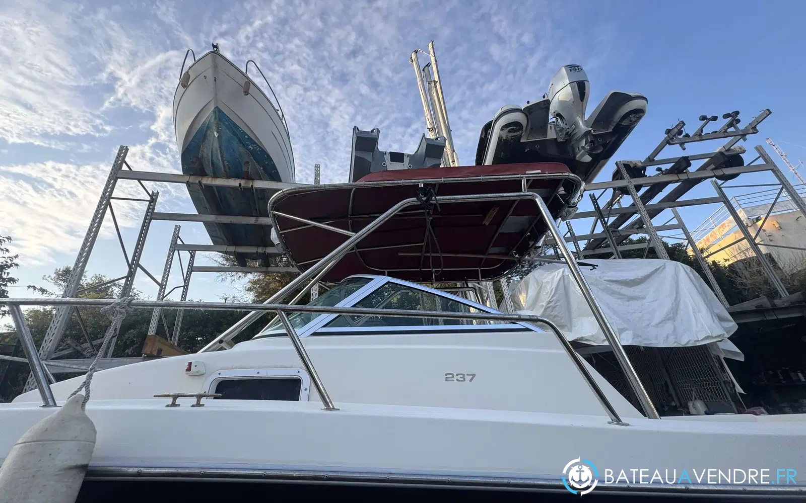 slider 9 Kelt White Shark 237