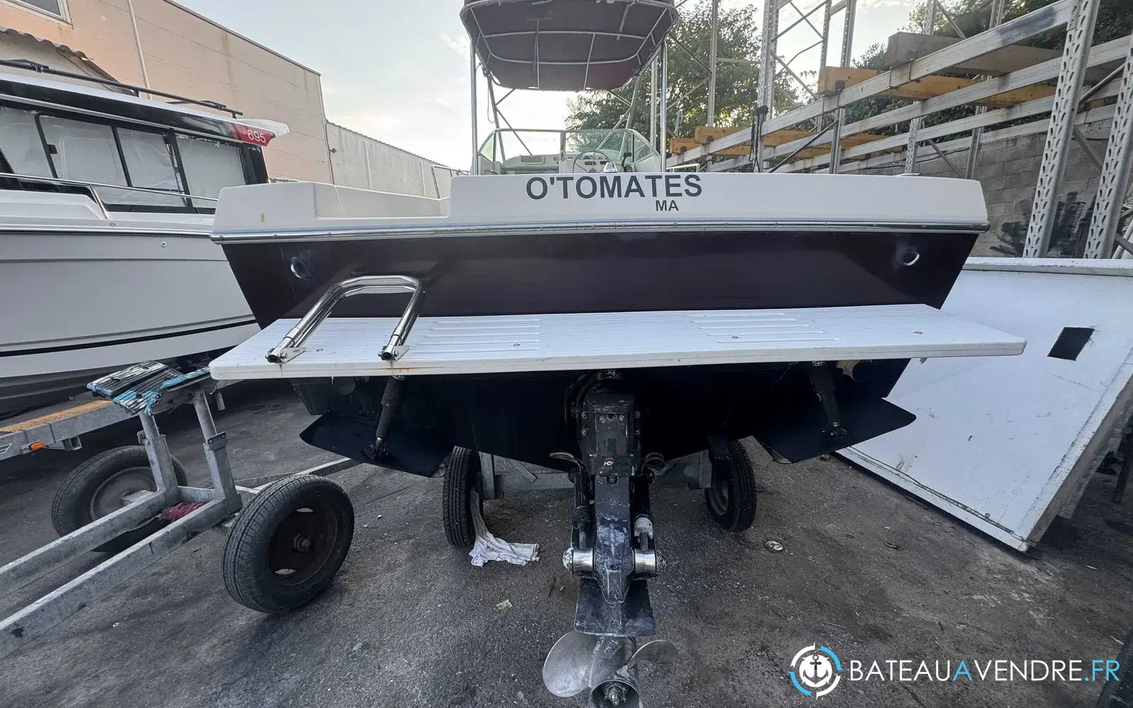slider 10 Kelt White Shark 237