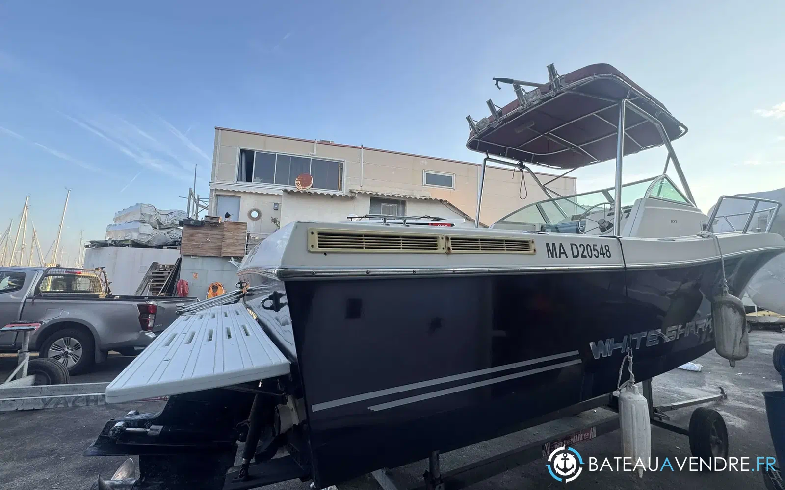 slider 11 Kelt White Shark 237
