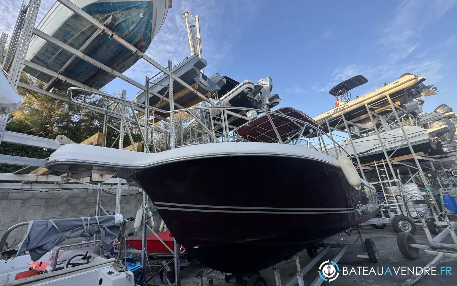 slider 1 Kelt White Shark 237