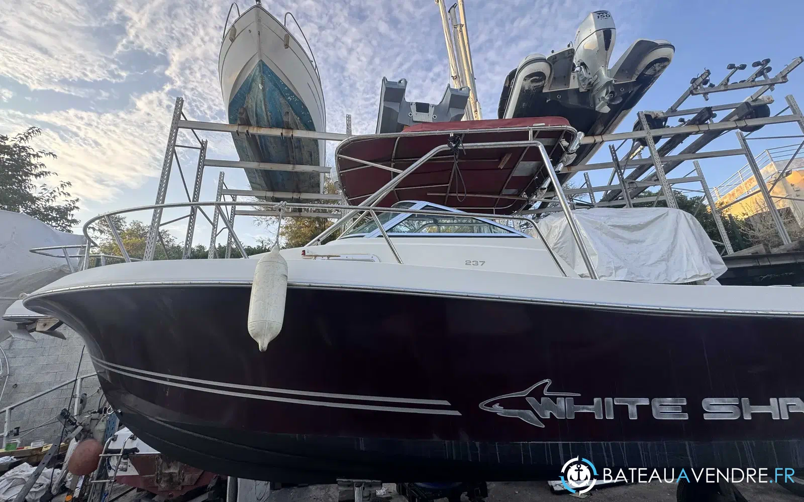 slider 2 Kelt White Shark 237