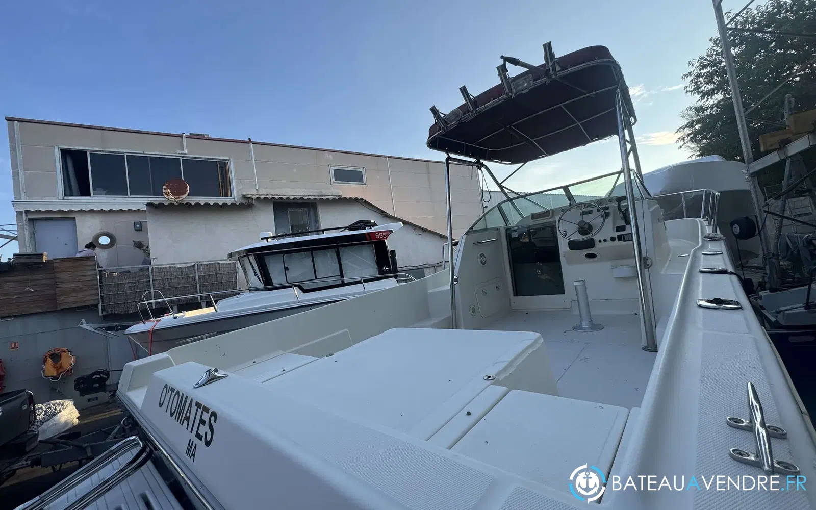 slider 8 Kelt White Shark 237