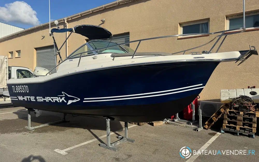 White Shark 206 WA Club  photo 3