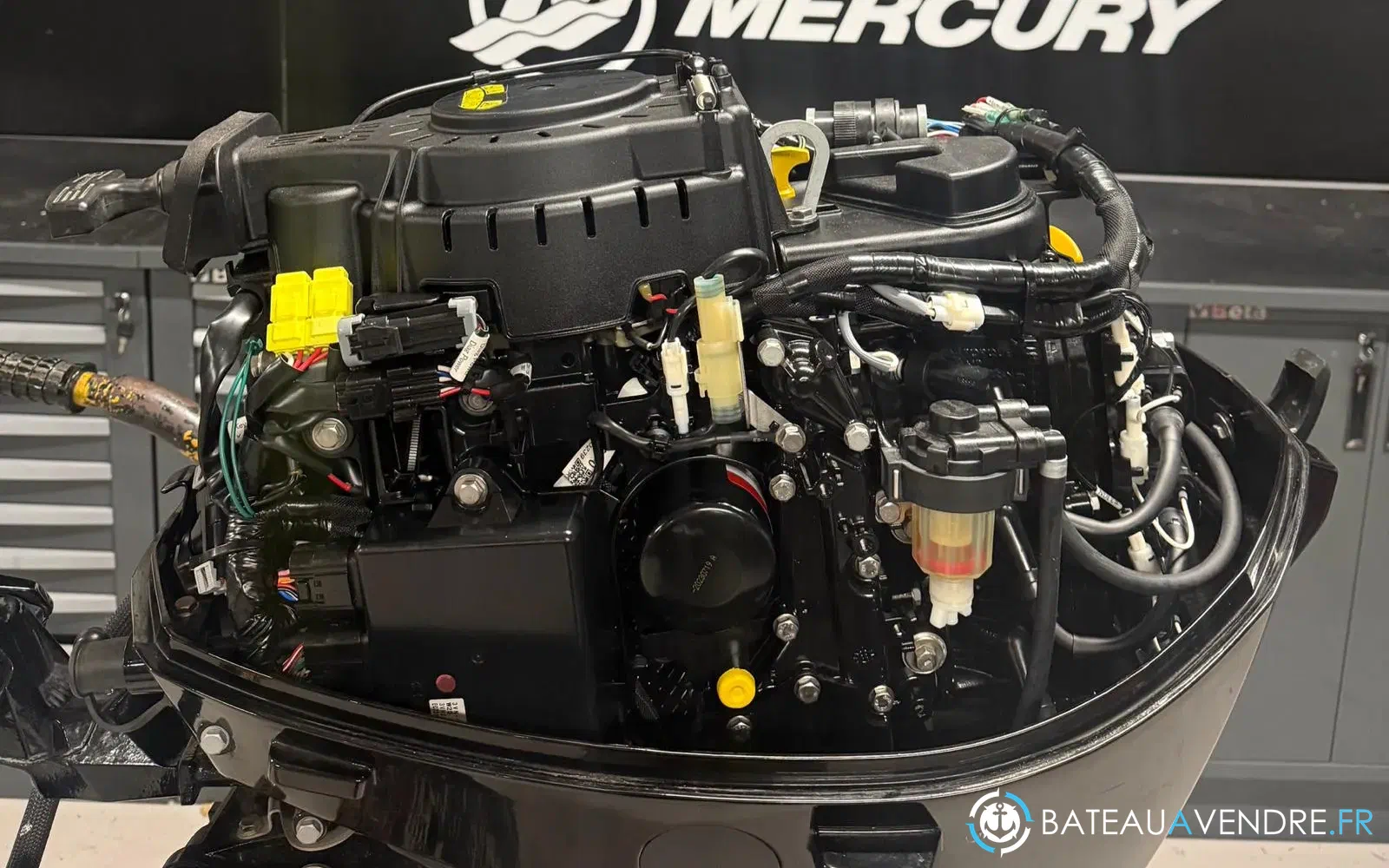 slider 4 MERCURY F25 MLH