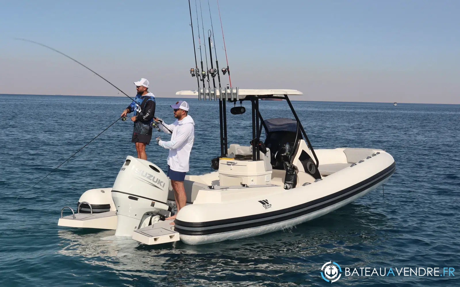 slider 19 Tiger Marine 750 TOP LINE