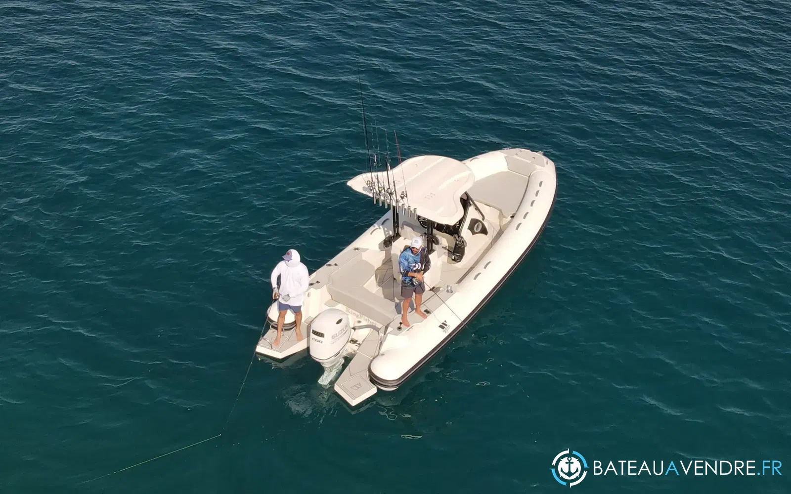 slider 3 Tiger Marine 750 TOP LINE
