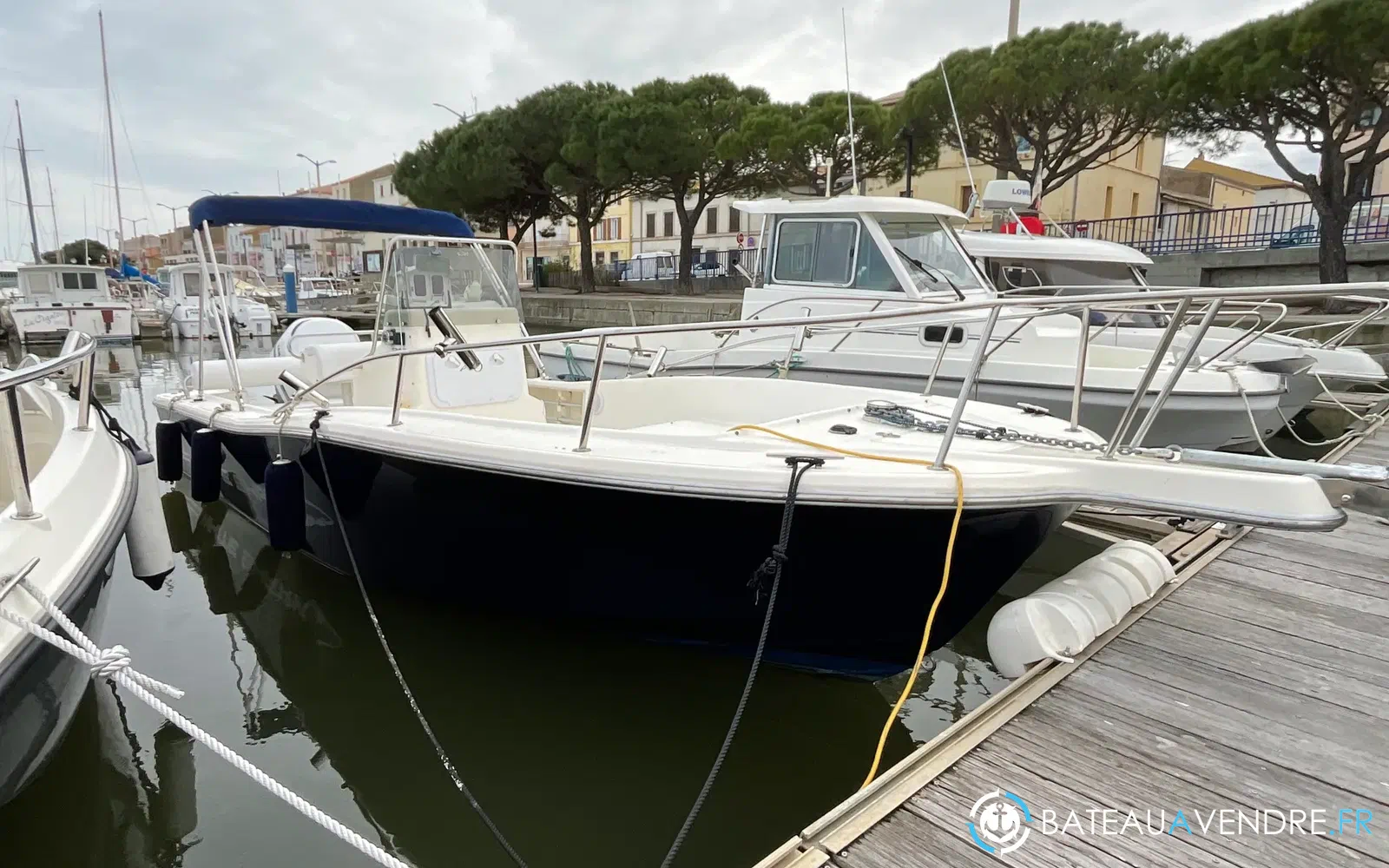 slider 1 Kelt White Shark 215