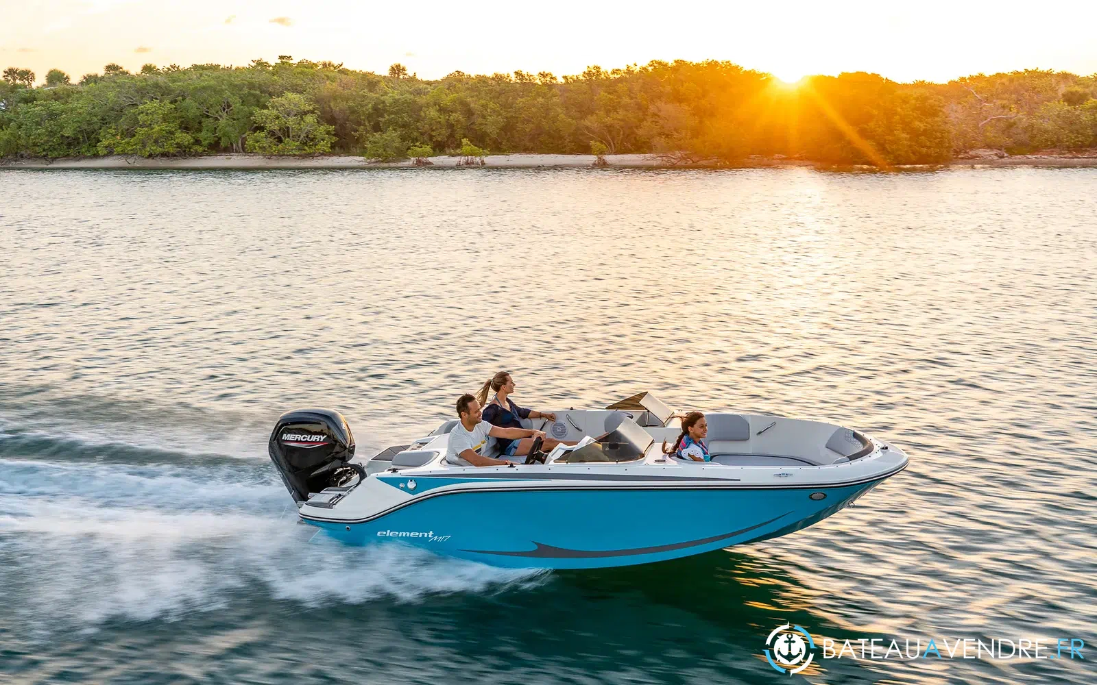 slider 1 Bayliner Element M17