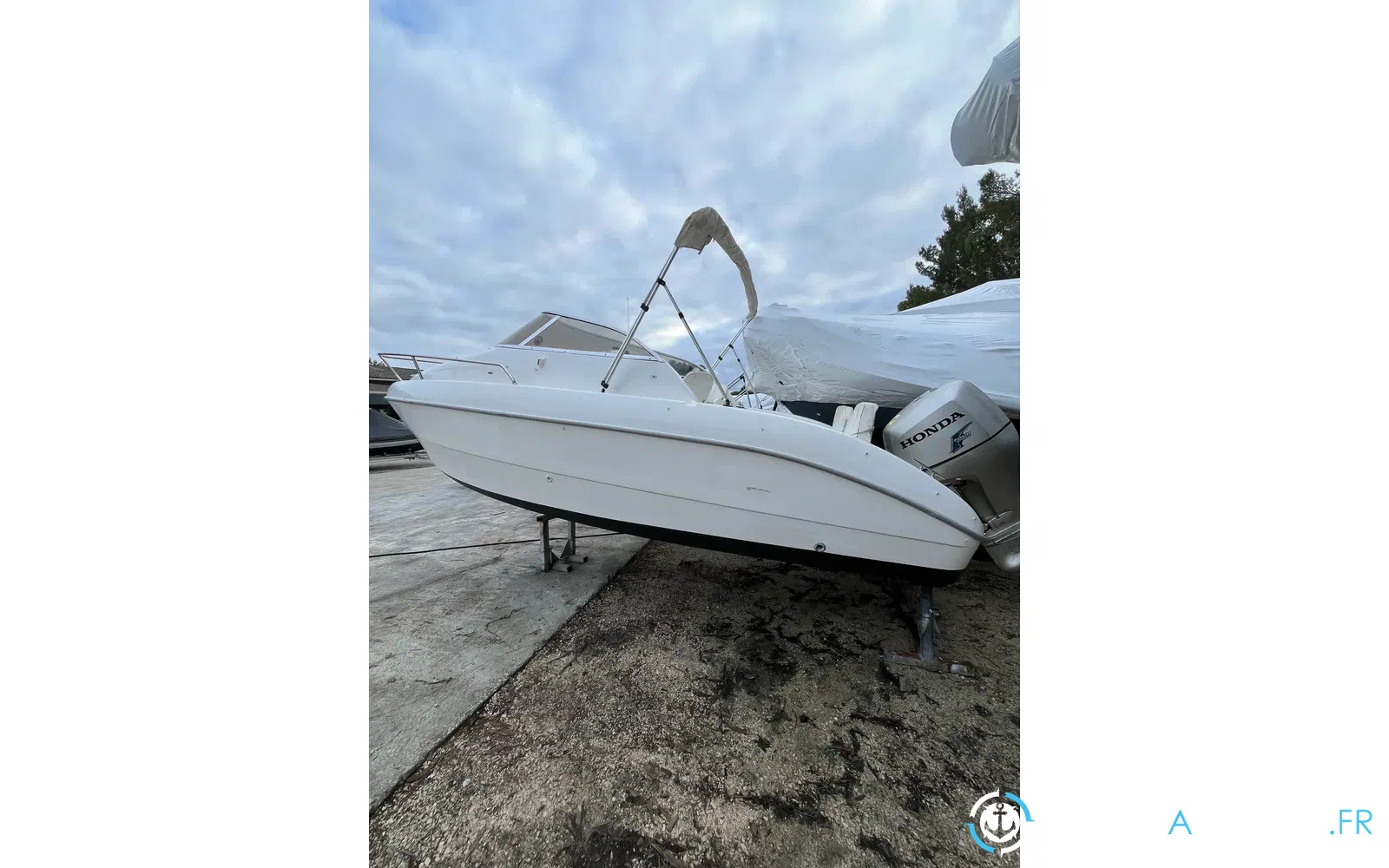 slider 0 Sessa Marine Oyster 20