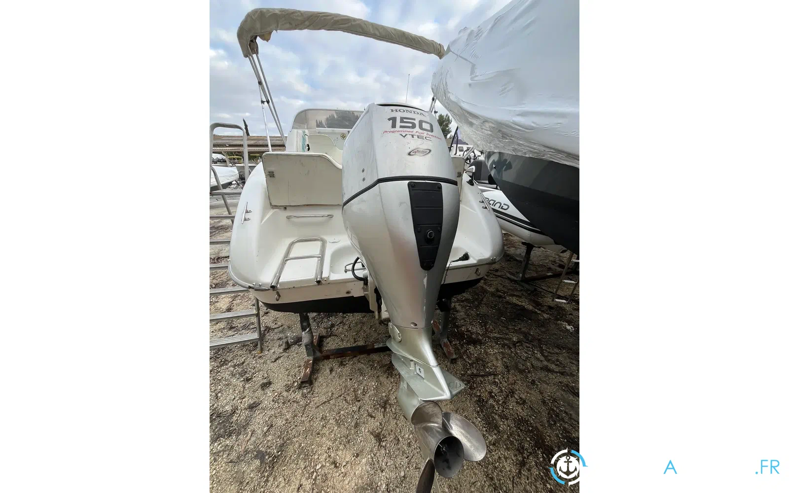 slider 8 Sessa Marine Oyster 20
