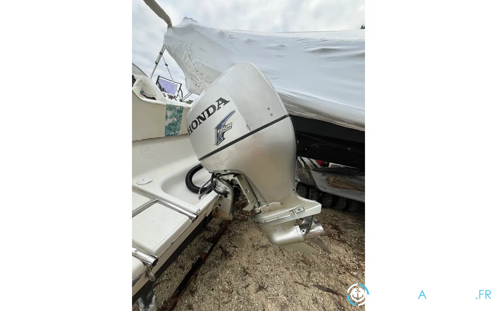 slider 9 Sessa Marine Oyster 20