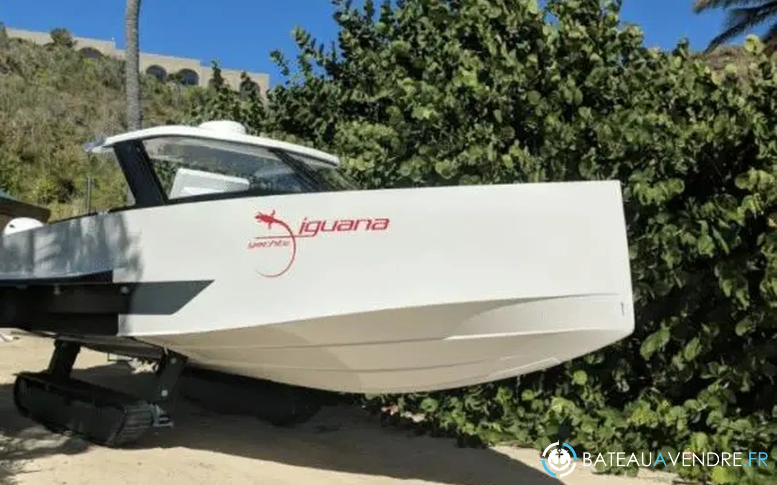 slider 15 Iguana 29