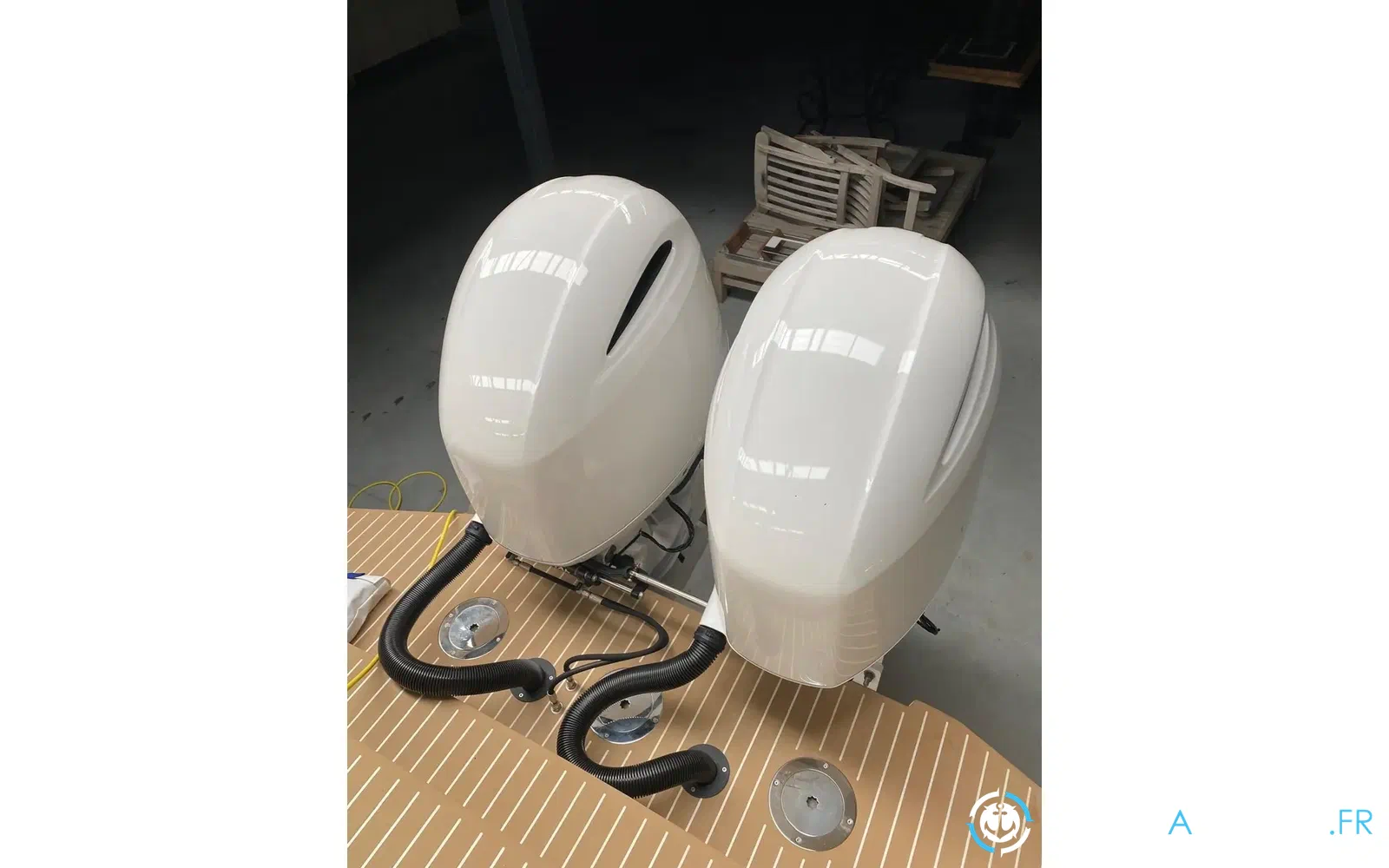 slider 16 Iguana 29