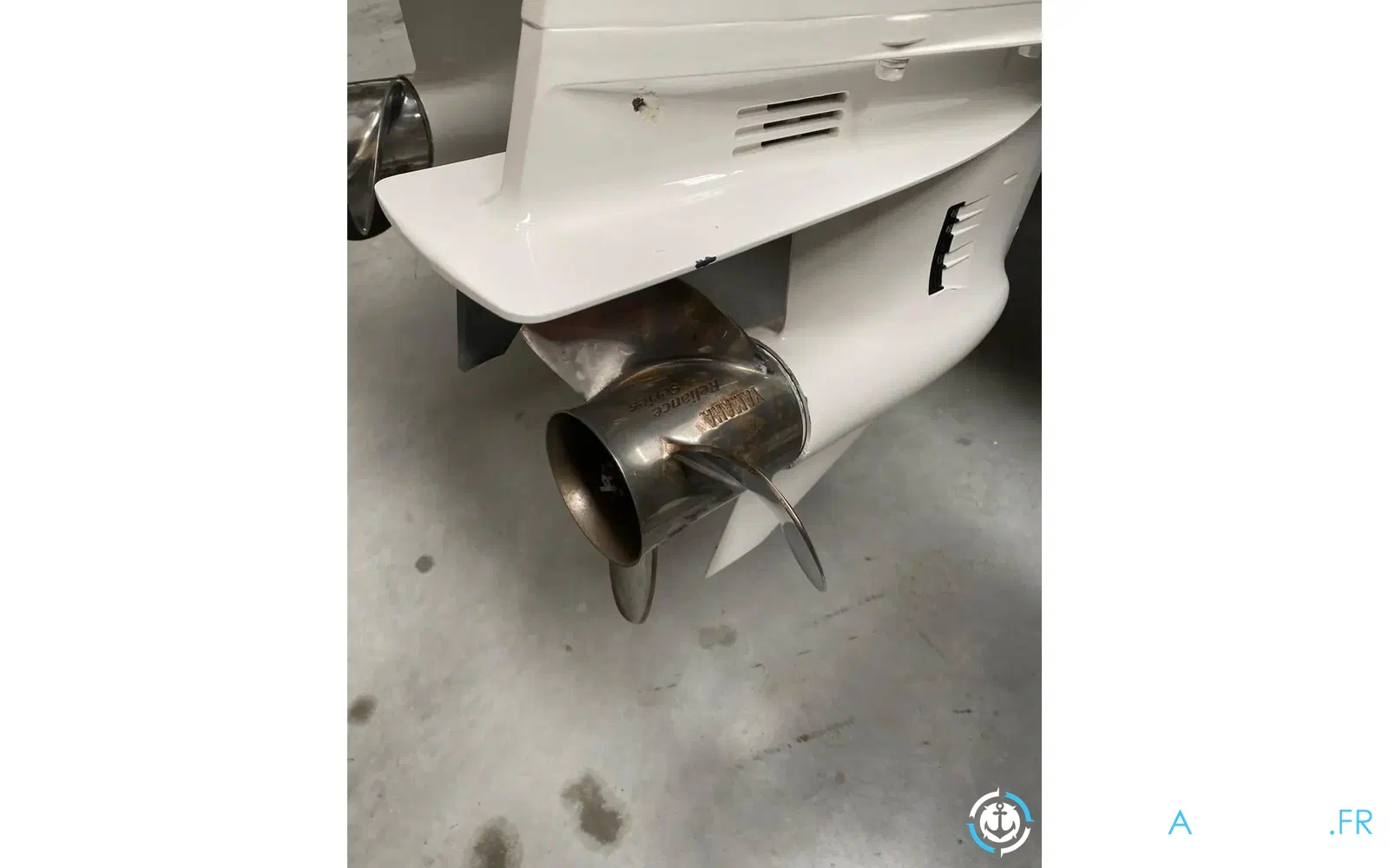slider 17 Iguana 29
