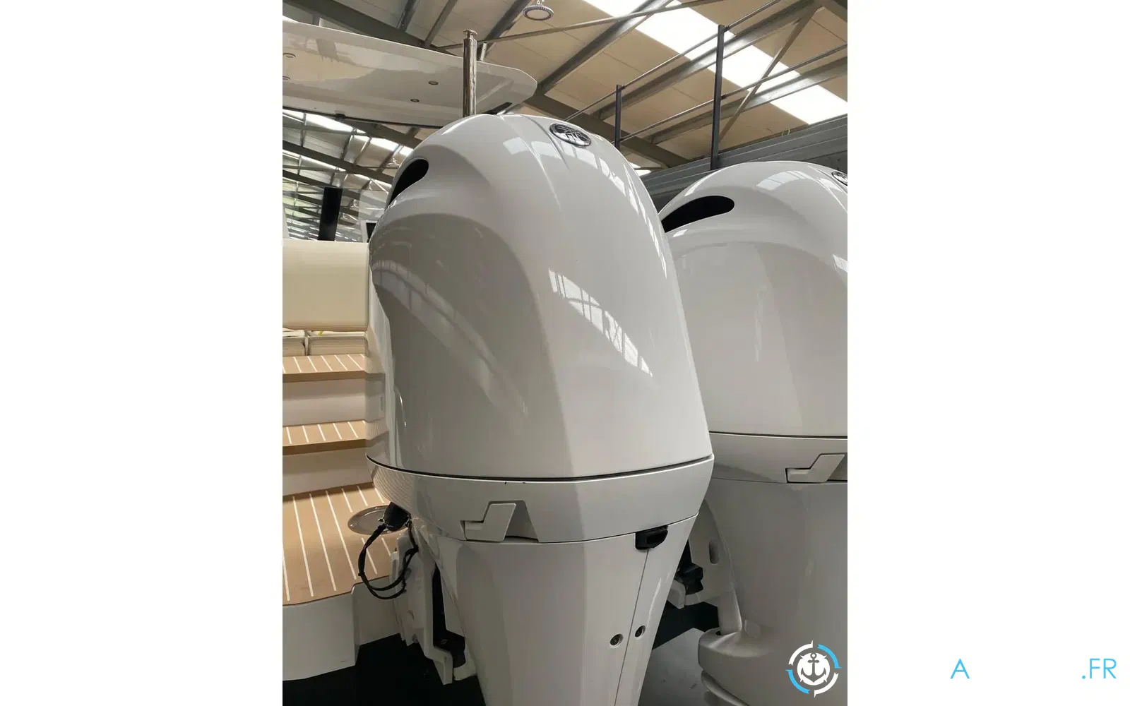 slider 19 Iguana 29
