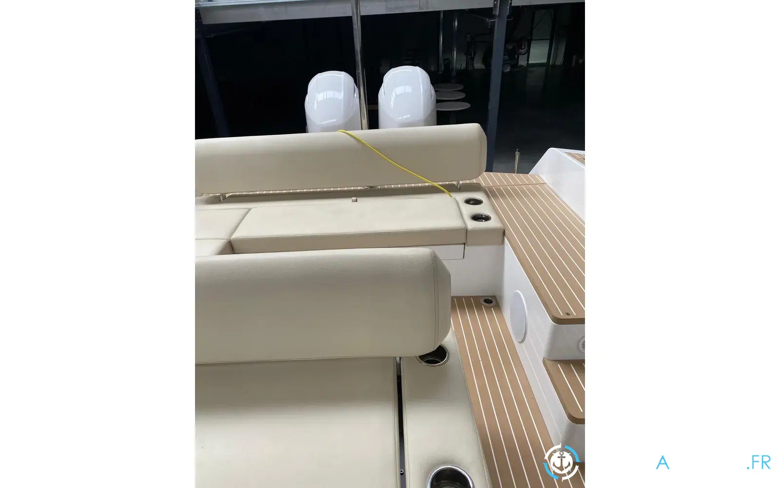 slider 5 Iguana 29