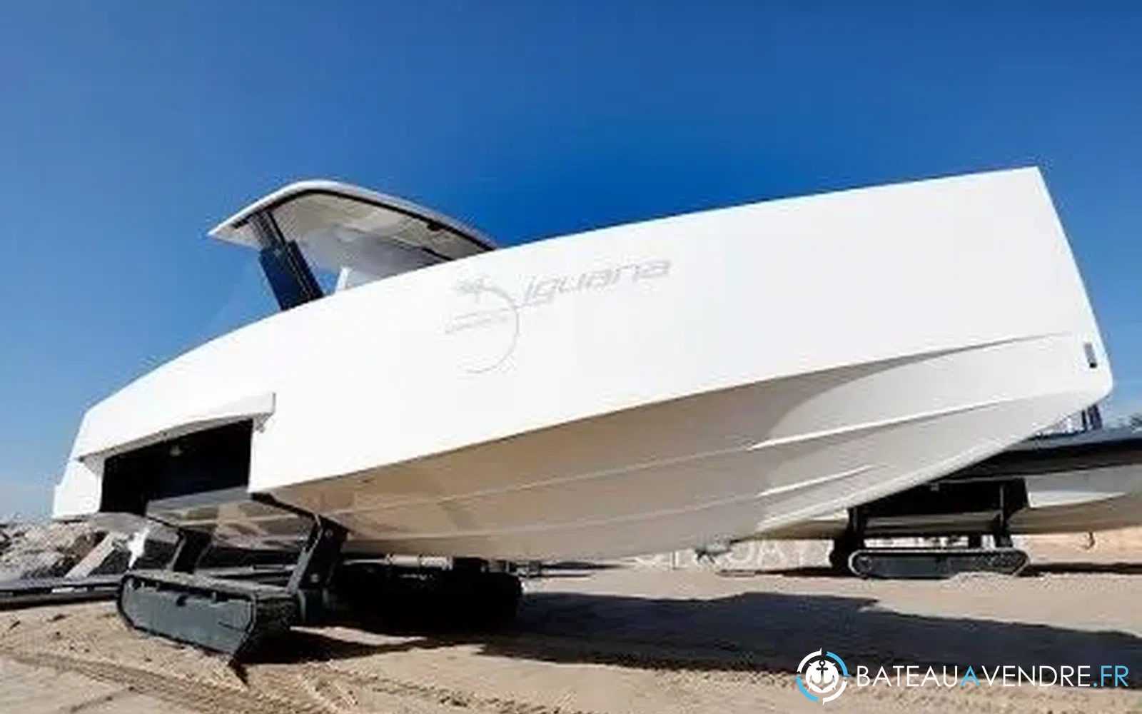 slider 6 Iguana 29