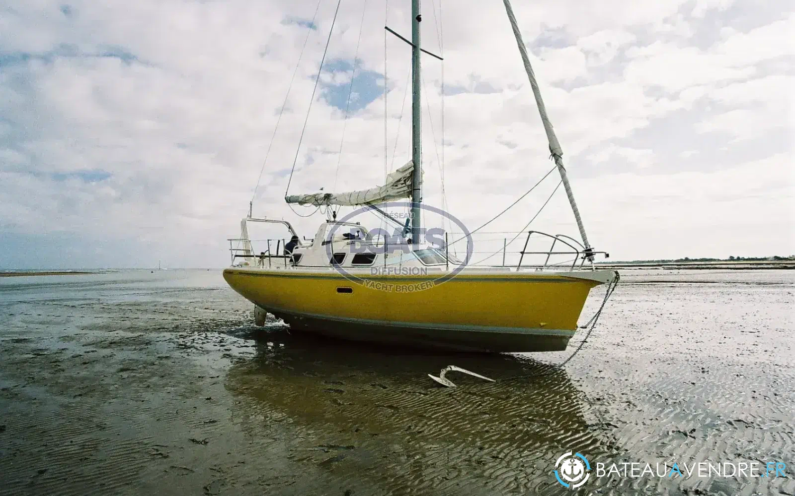 slider 11 Afep Marine Manatea 350