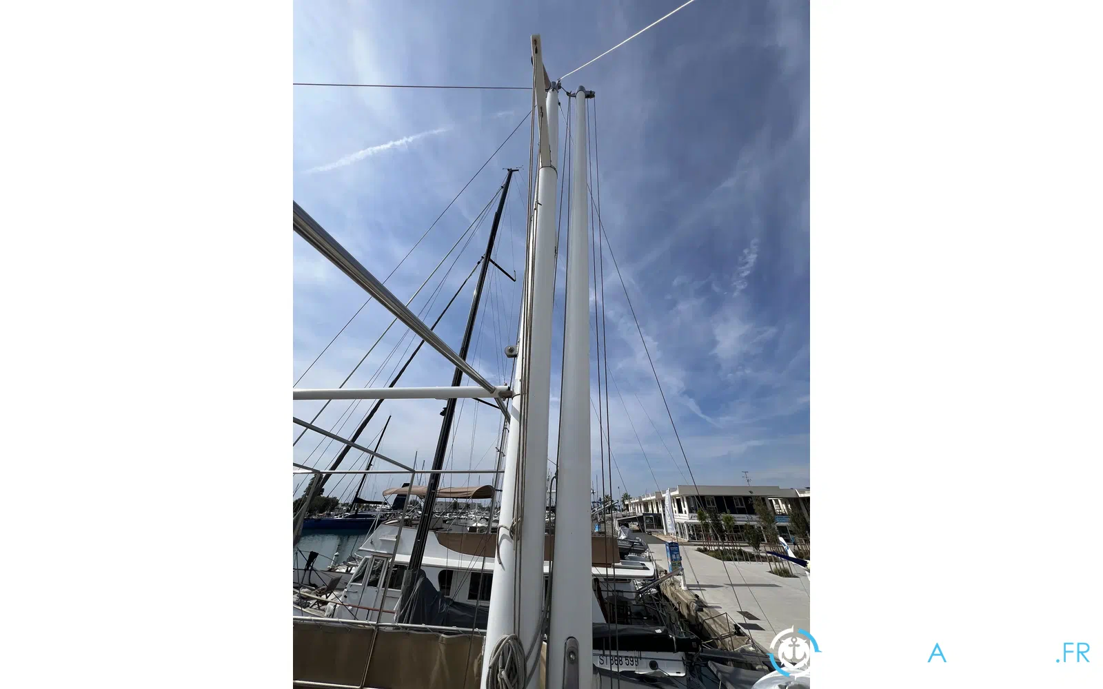slider 15 Grand Banks 50