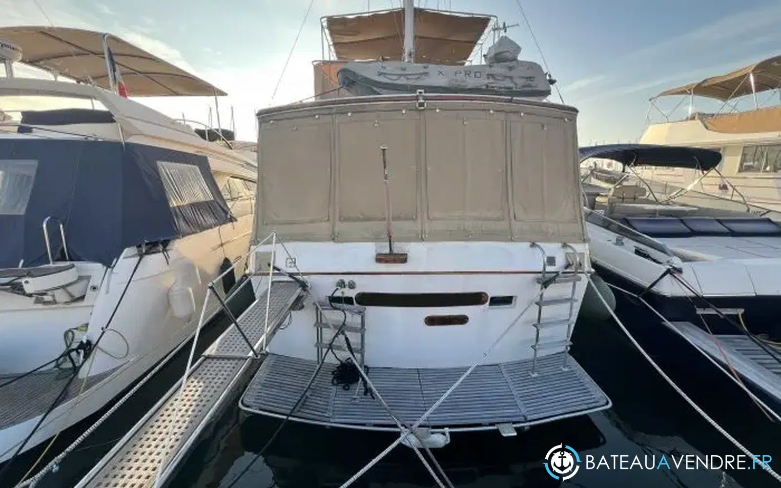 slider 2 Grand Banks 50