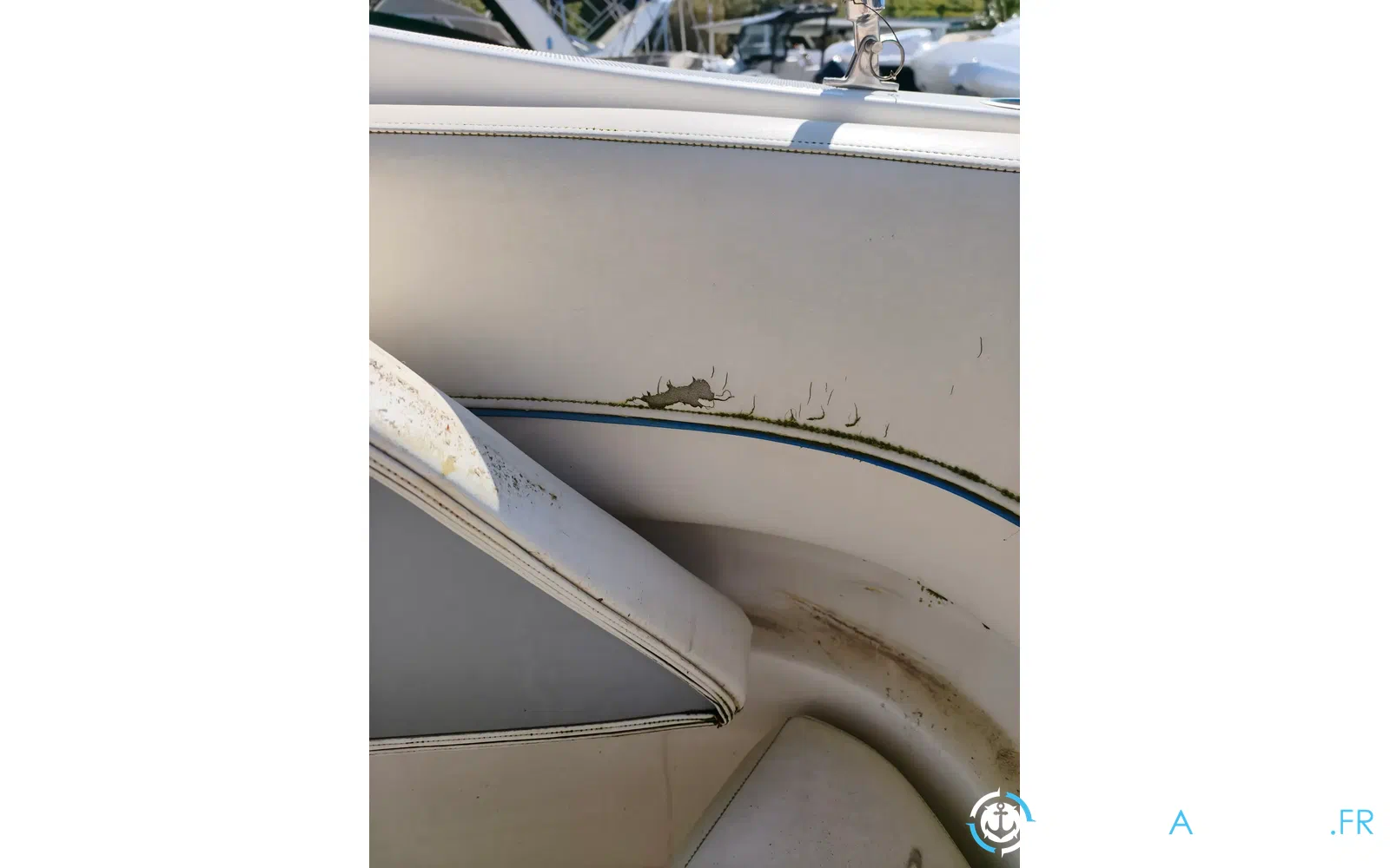 slider 26 Bayliner 300 SB