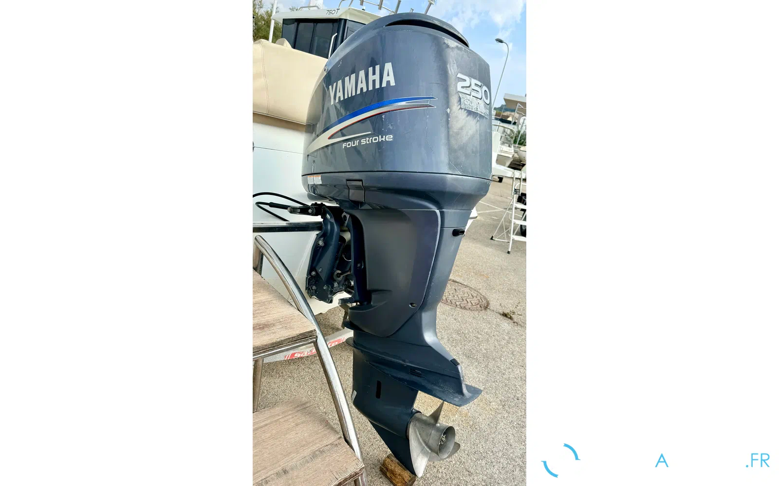 slider 5 Sessa Marine Key Largo 24