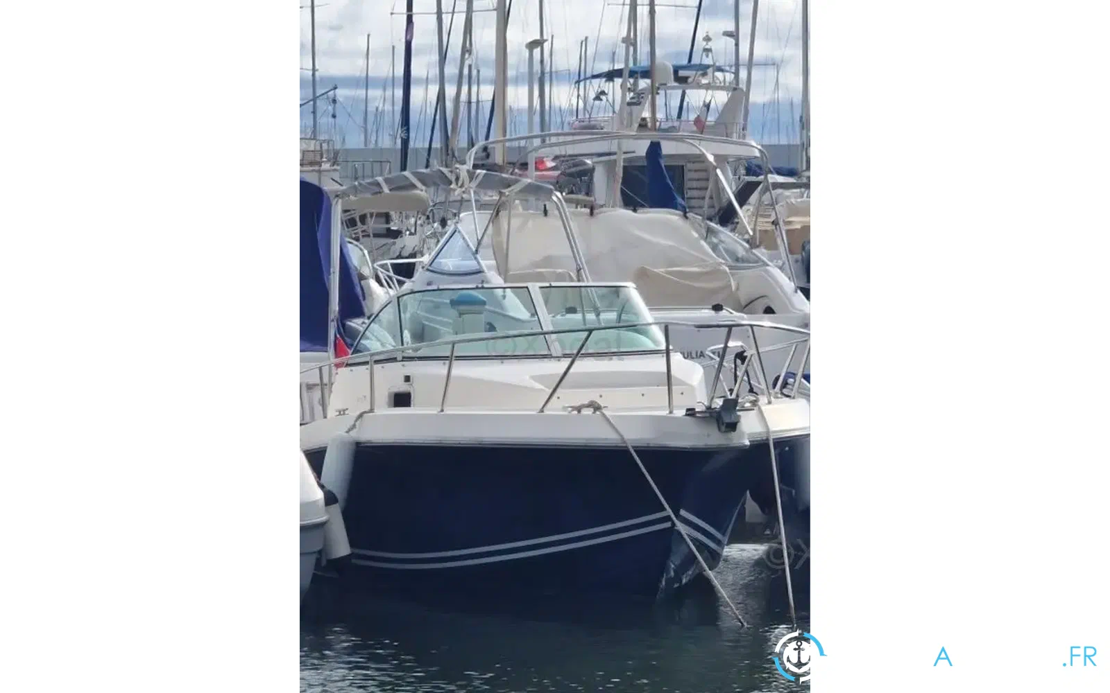 slider 0 Kelt White Shark 237