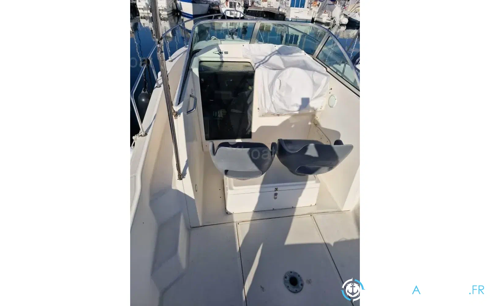 slider 9 Kelt White Shark 237
